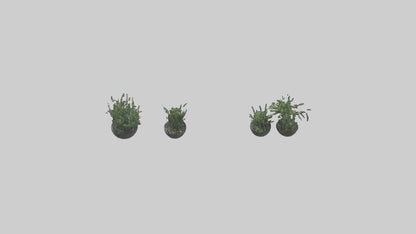 3D model Sculptural Wall Planters VR / AR / low-poly
