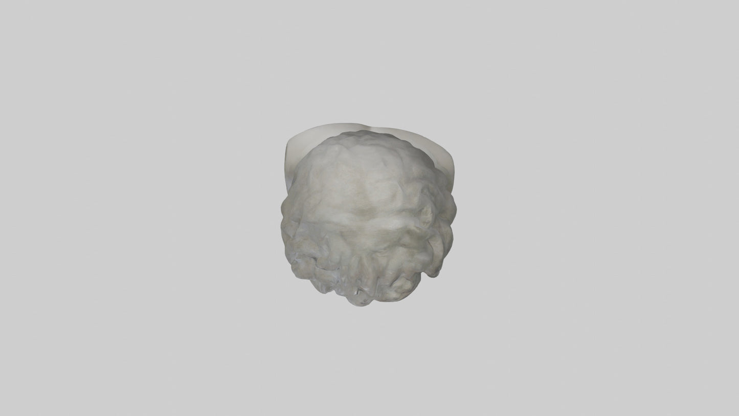 Sculpture bust model VR / AR / low-poly