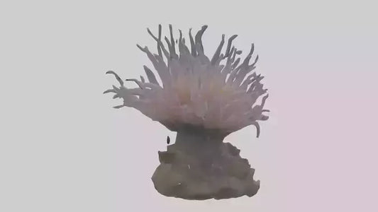 3D model Sea Anemone swaying model VR / AR / low-poly