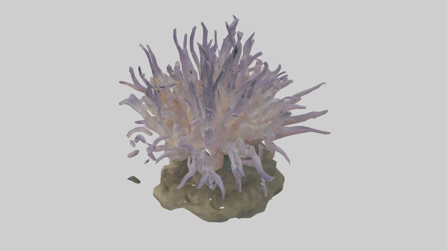 3D model Sea Anemone swaying model VR / AR / low-poly