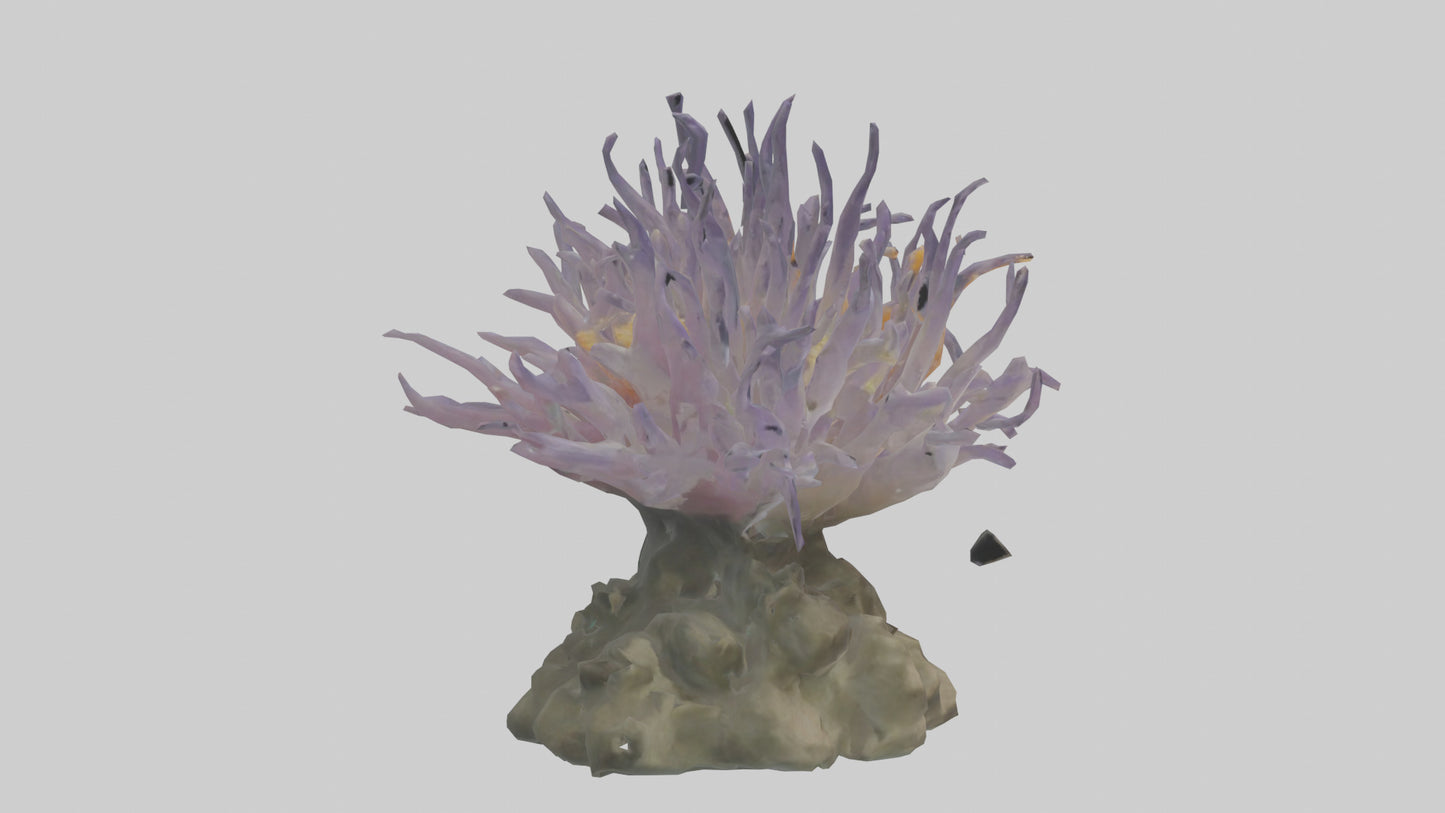 3D model Sea Anemone swaying model VR / AR / low-poly