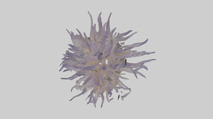 3D model Sea Anemone swaying model VR / AR / low-poly