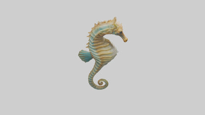 Sea Horse floating upright model 3D model