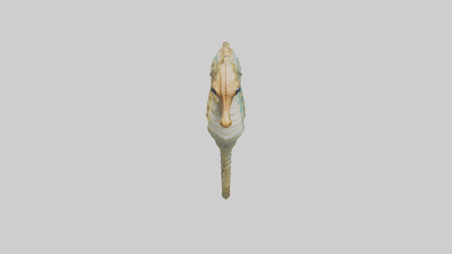 Sea Horse floating upright model 3D model
