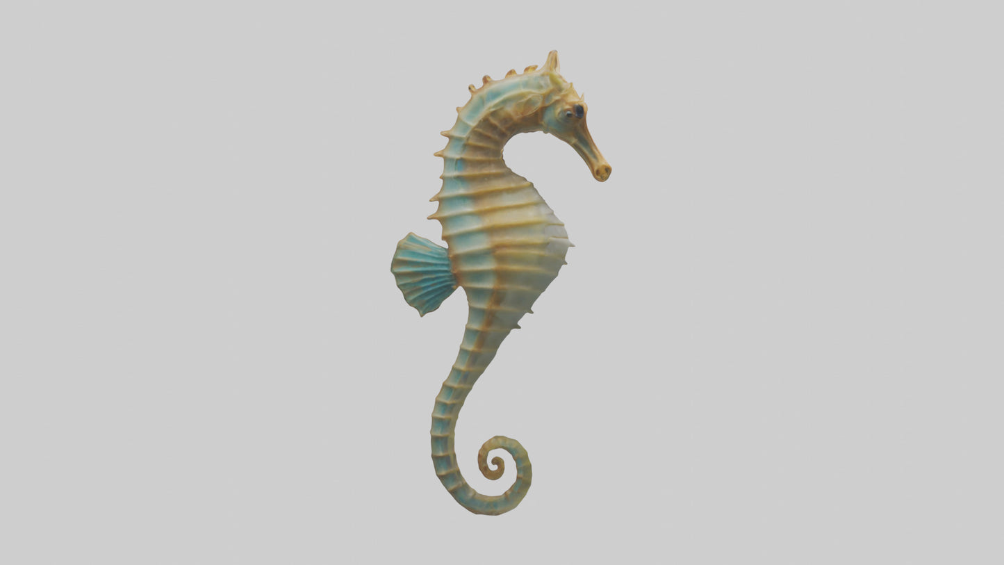 Sea Horse floating upright model 3D model