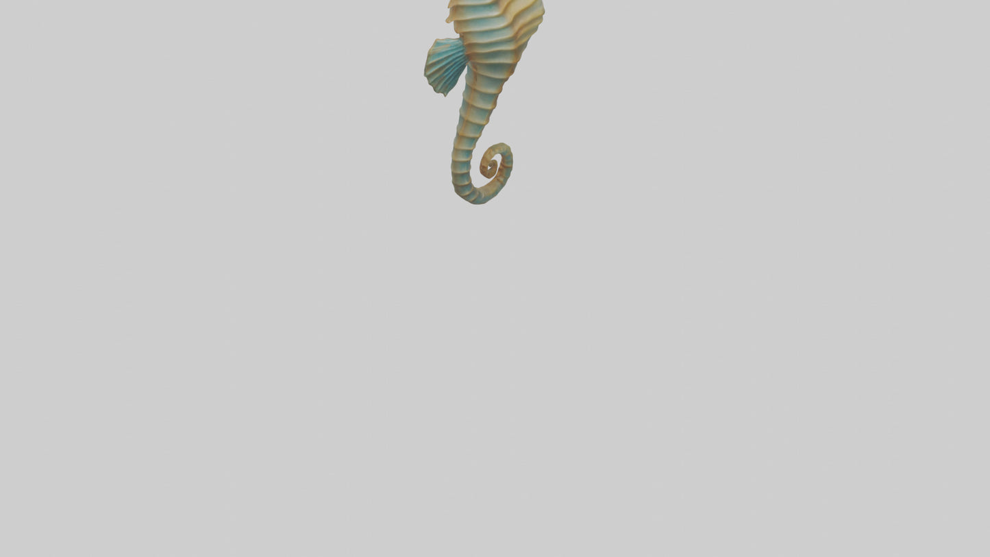 Sea Horse floating upright model 3D model