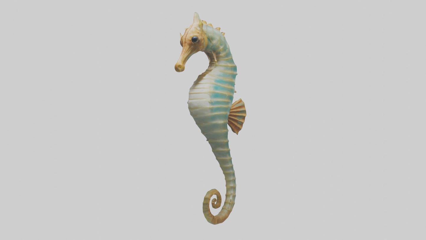 Sea Horse floating upright model 3D model