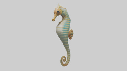 Sea Horse floating upright model 3D model