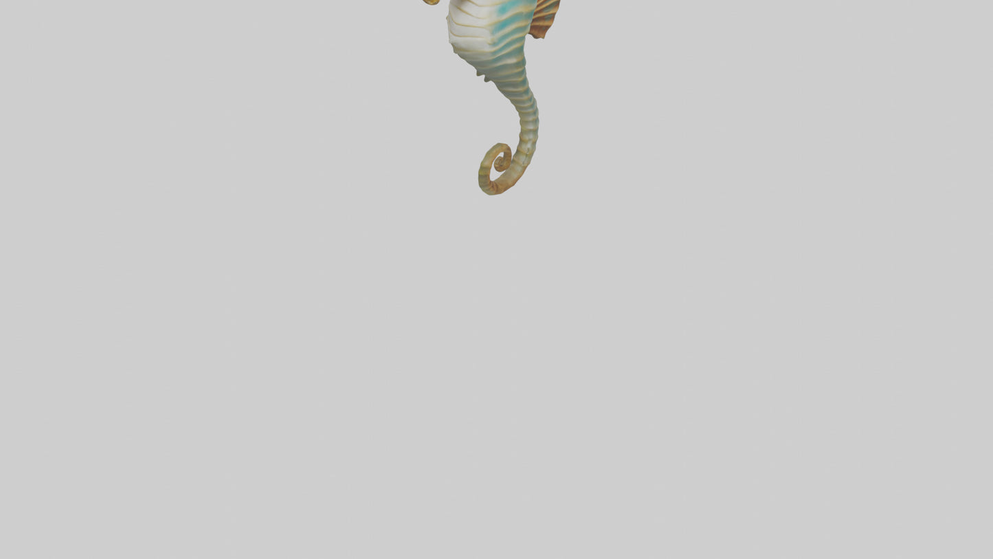 Sea Horse floating upright model 3D model