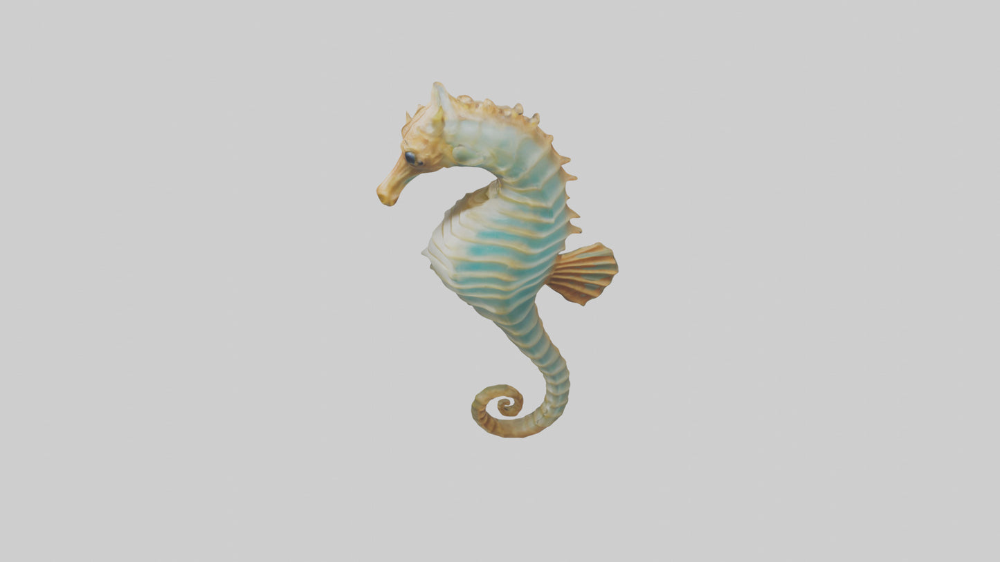 Sea Horse floating upright model 3D model