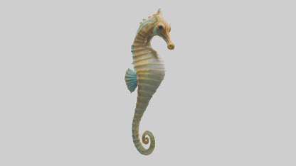 Sea Horse floating upright model 3D model