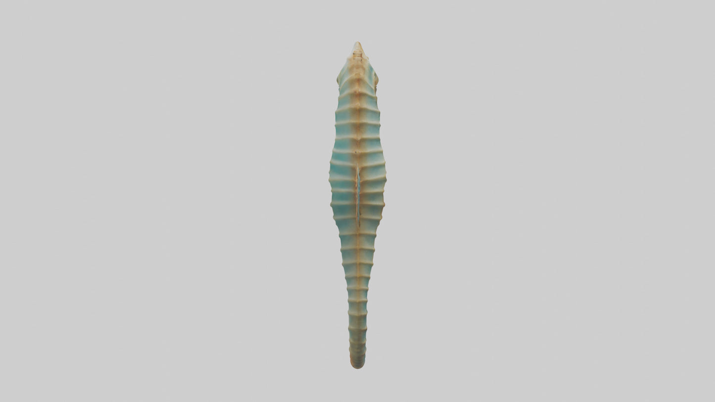 Sea Horse floating upright model 3D model