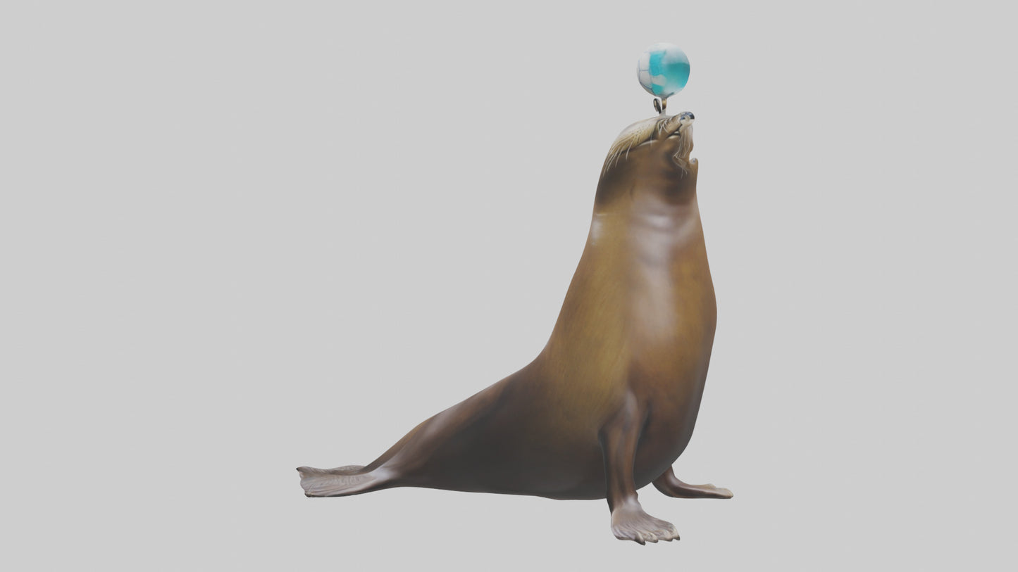 3D model Sea Lion balancing ball model VR / AR / low-poly