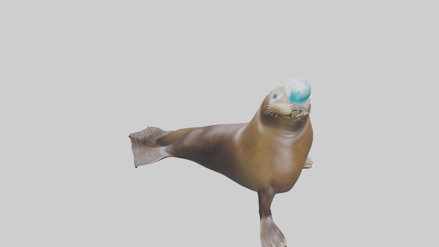 3D model Sea Lion balancing ball model VR / AR / low-poly