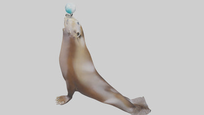 3D model Sea Lion balancing ball model VR / AR / low-poly