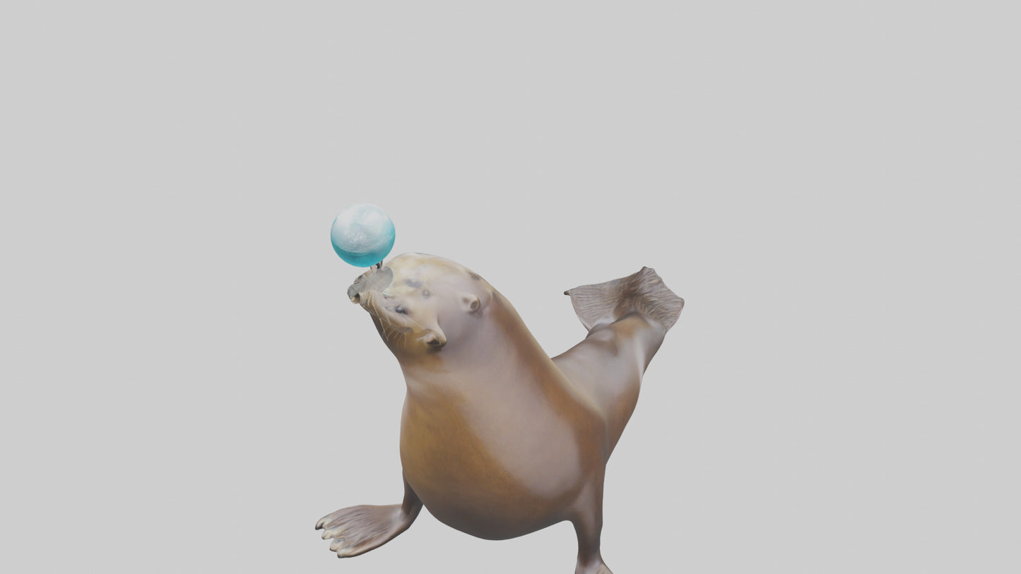 3D model Sea Lion balancing ball model VR / AR / low-poly