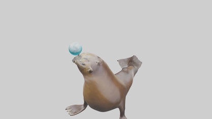 3D model Sea Lion balancing ball model VR / AR / low-poly