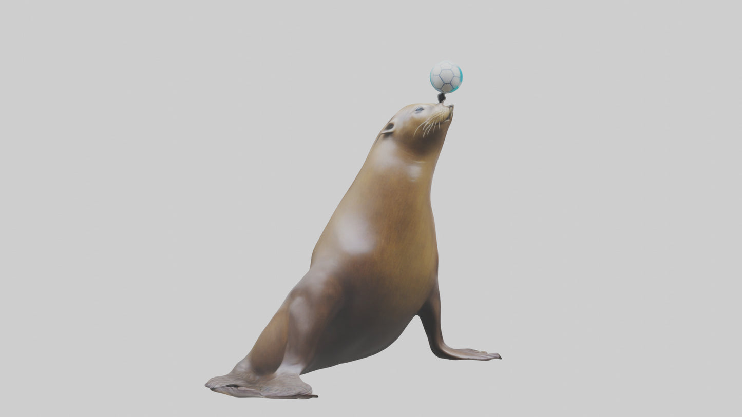 3D model Sea Lion balancing ball model VR / AR / low-poly
