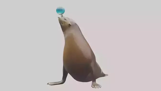3D model Sea Lion balancing ball model VR / AR / low-poly