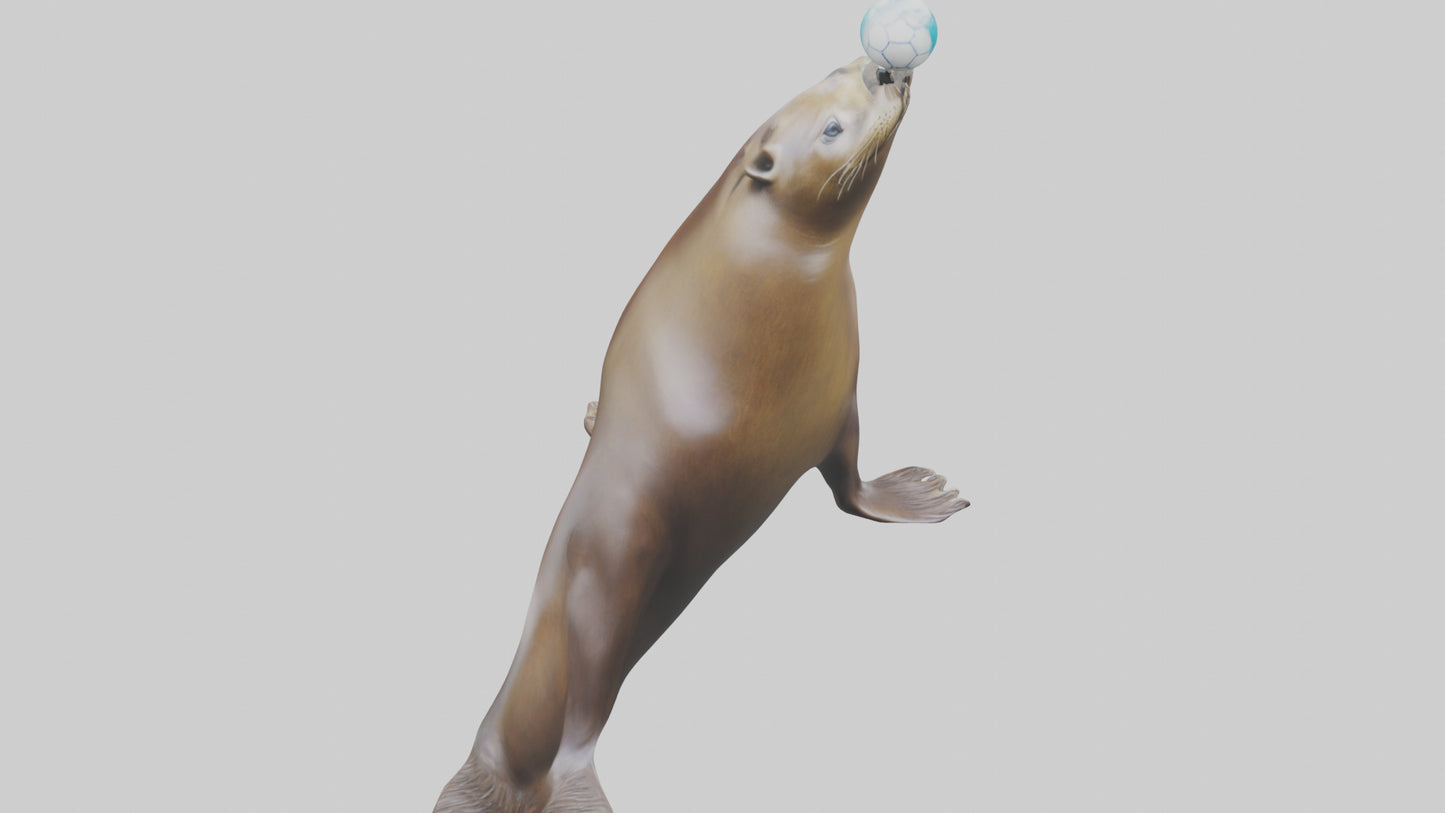 3D model Sea Lion balancing ball model VR / AR / low-poly