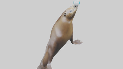 3D model Sea Lion balancing ball model VR / AR / low-poly