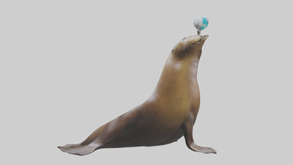3D model Sea Lion balancing ball model VR / AR / low-poly