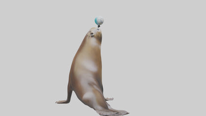 3D model Sea Lion balancing ball model VR / AR / low-poly