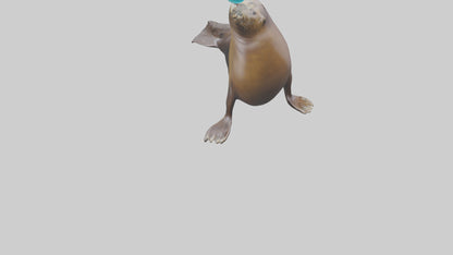 3D model Sea Lion balancing ball model VR / AR / low-poly
