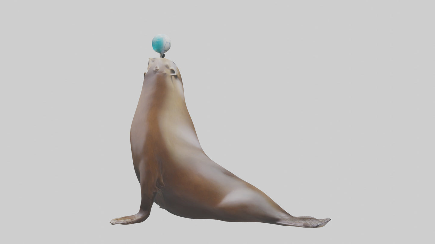 3D model Sea Lion balancing ball model VR / AR / low-poly