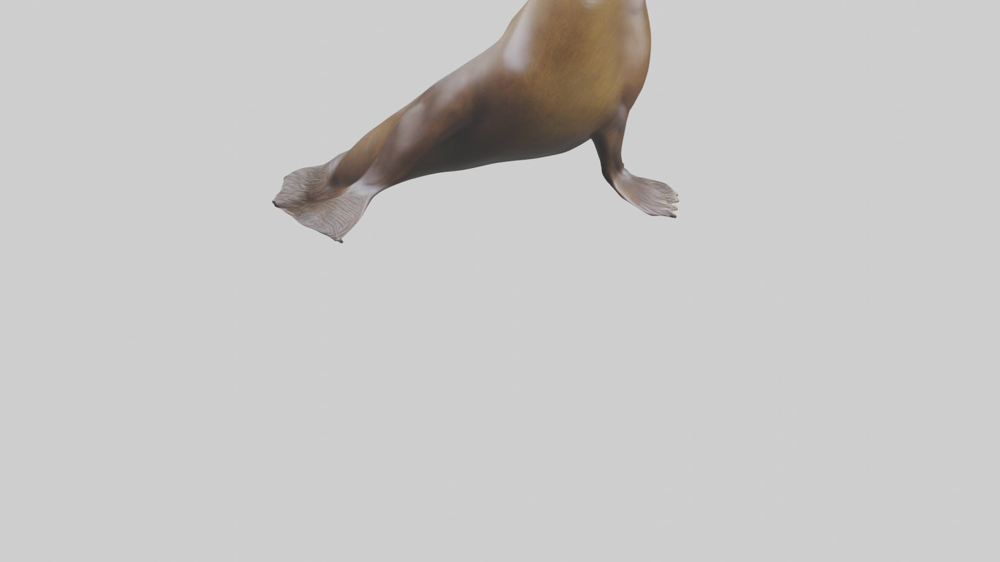 3D model Sea Lion balancing ball model VR / AR / low-poly