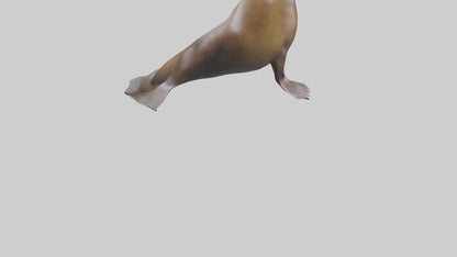 3D model Sea Lion balancing ball model VR / AR / low-poly