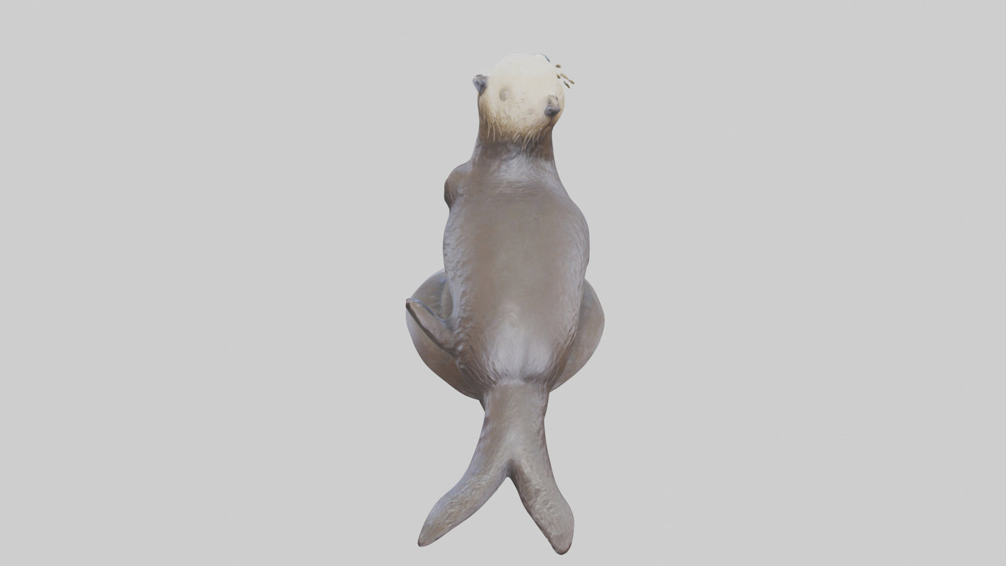 Sea Otter statue model VR / AR / low-poly