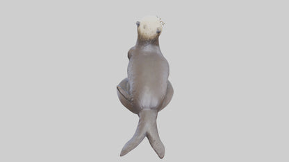 Sea Otter statue model VR / AR / low-poly