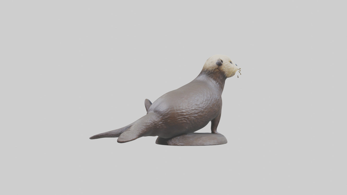 Sea Otter statue model VR / AR / low-poly