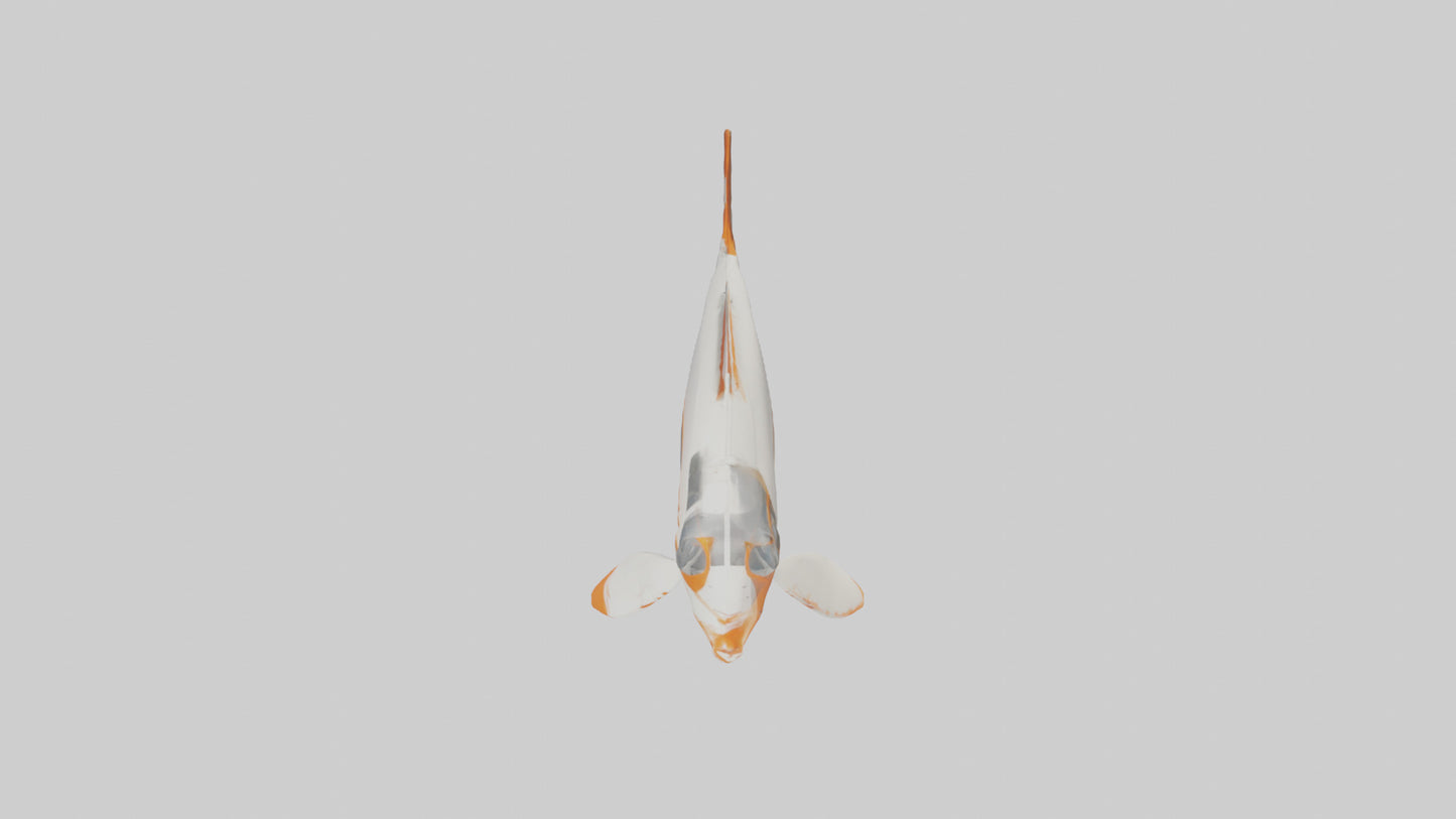 3D model Sea Robin gliding model VR / AR / low-poly
