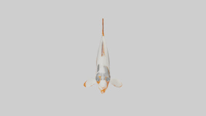 3D model Sea Robin gliding model VR / AR / low-poly