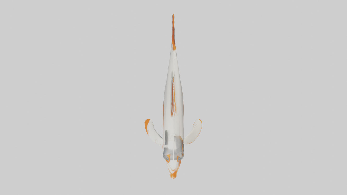3D model Sea Robin gliding model VR / AR / low-poly