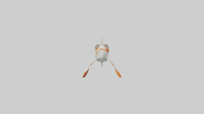 3D model Sea Robin gliding model VR / AR / low-poly