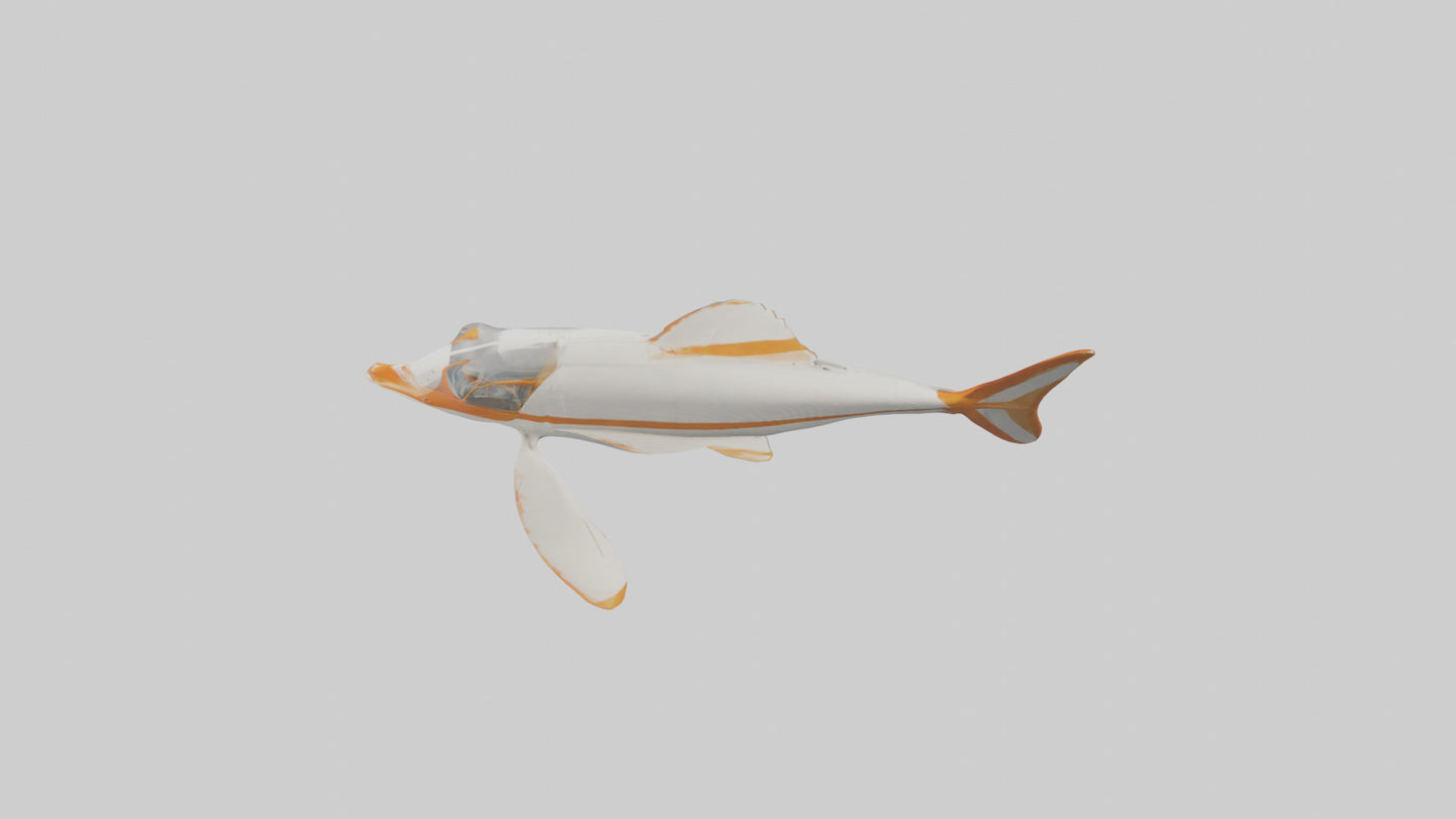 3D model Sea Robin gliding model VR / AR / low-poly