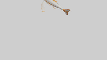 3D model Sea Robin gliding model VR / AR / low-poly