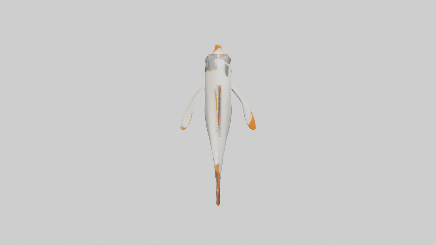 3D model Sea Robin gliding model VR / AR / low-poly