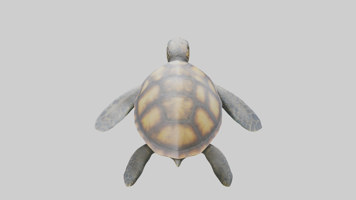 Sea Turtle model 3D model