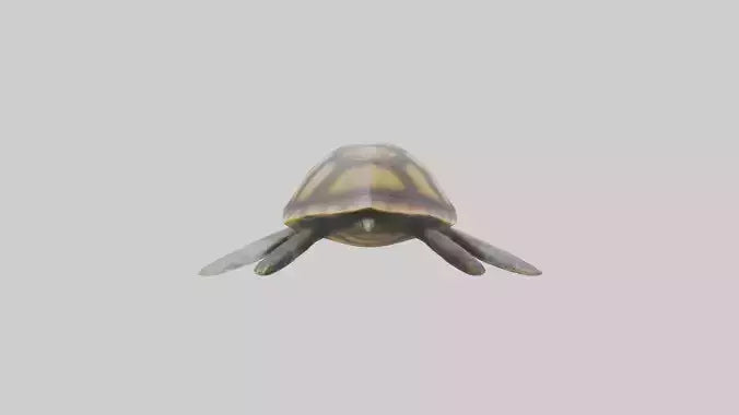Sea Turtle model 3D model