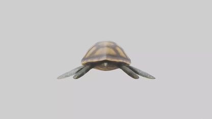 Sea Turtle model 3D model