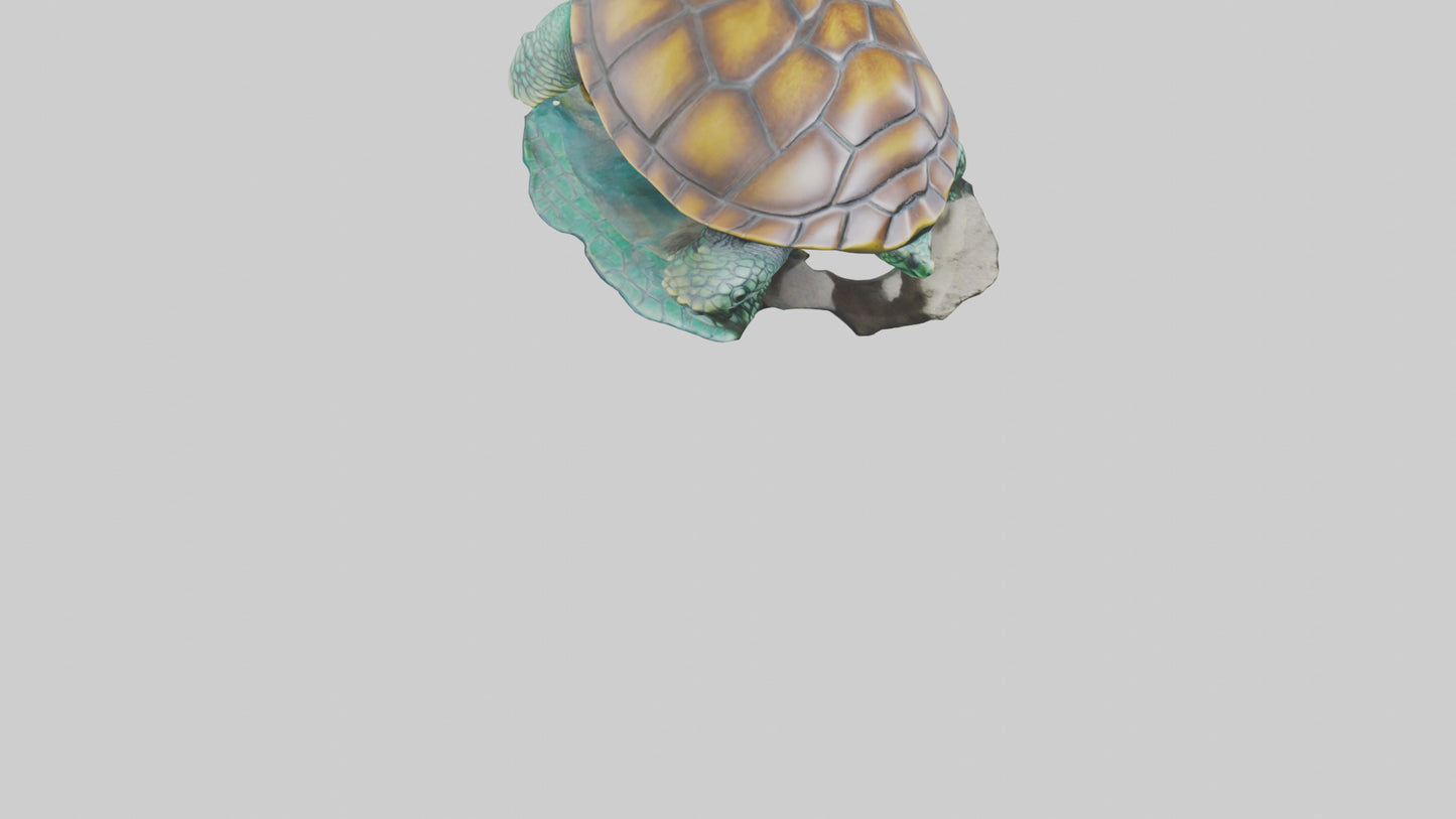 3D model Sea Turtle statue model VR / AR / low-poly