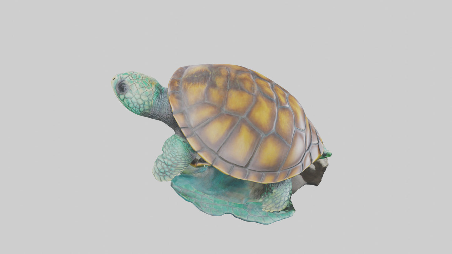 3D model Sea Turtle statue model VR / AR / low-poly