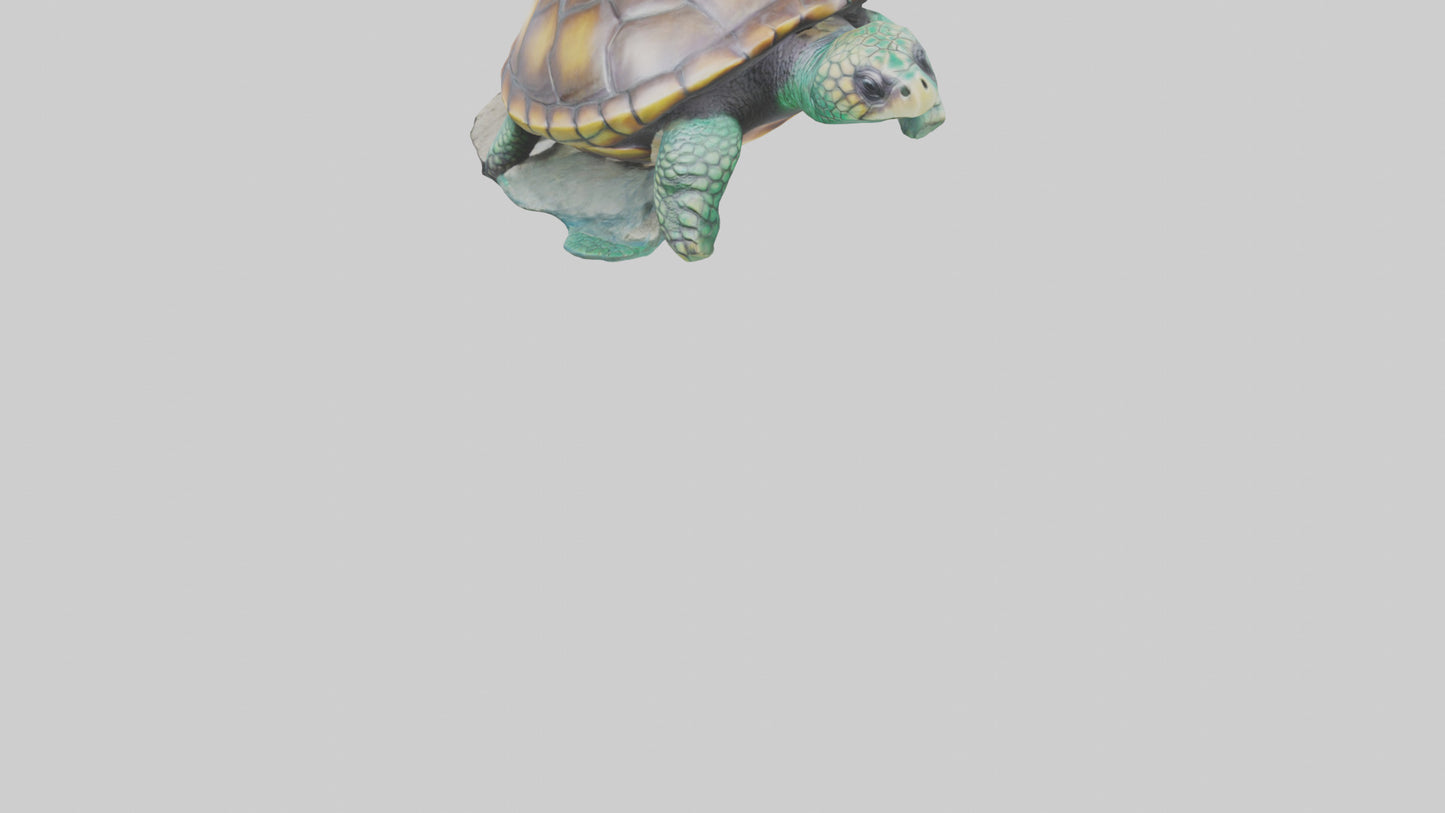 3D model Sea Turtle statue model VR / AR / low-poly