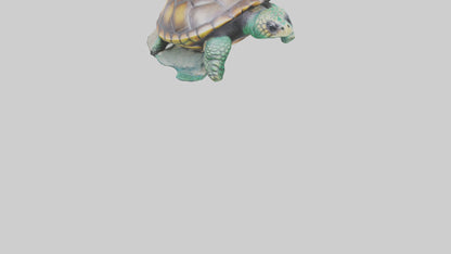 3D model Sea Turtle statue model VR / AR / low-poly