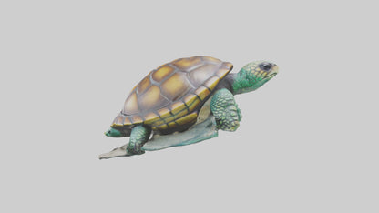 3D model Sea Turtle statue model VR / AR / low-poly
