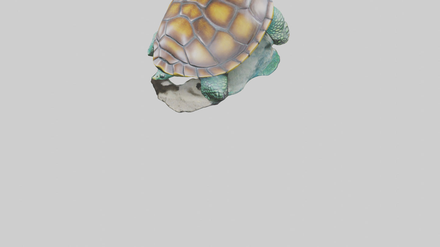 3D model Sea Turtle statue model VR / AR / low-poly